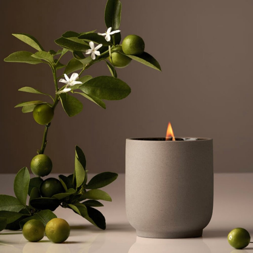 NEW - HOMECOURT Neroli Leaf Candle 8 oz Soy Wax Full Size Home Court